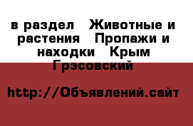  в раздел : Животные и растения » Пропажи и находки . Крым,Грэсовский